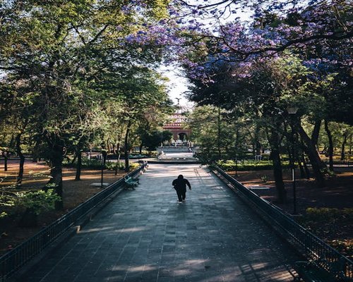person walking in a bright green city park during morning